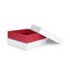 Beauty Instrument Box