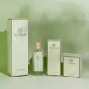 Perfume Boxes Wholesale